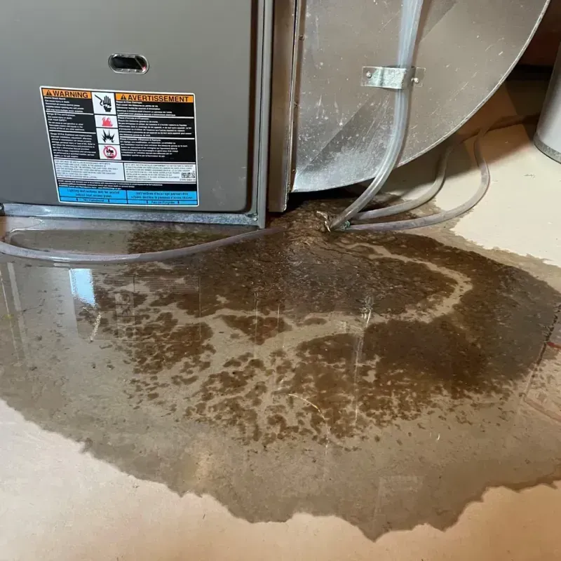 Appliance Leak Cleanup in Waseca, MN